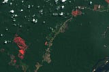 Mapping deforestation with Sentinel Hub