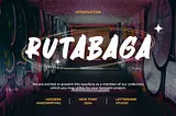 Rutabaga Script & Handwritten Font By Lettermine 1