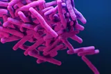 This is a medical illustration of drug-resistant, Mycobacterium tuberculosis bacteria. The bacteria appear purple on a dark blue background. The bacteria are elongated, almost cigar-shaped, and they are clustered in a group.