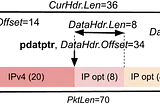 Parser Instructions in RISC-V: Goin’ hypersonic!