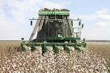 Cotton picker