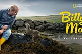 Review of the Documentary “Billy & Molly: An Otter Love Story”