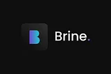 Brine testnet
Testing the Brine platform