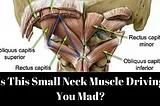Is This Small Neck Muscle Driving You Mad?