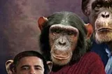 Primate in Chief: A Guide to Racist Obama Monkey Photoshops