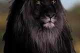 BLACK LIONS — MANIPULATION, MELANISM, AND MOZAICISM