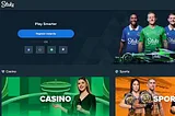 Stake India Casino 2024 [December Update]