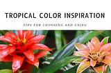 The Ultimate Guide to Choosing Color Palettes for Your Tropical Home