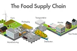 AI in Food Fraud Detection - How Technology is Securing Our Food Supply Chain?