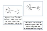 Memorization Techniques