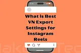 What is Best VN Export Settings for Instagram Reels | MakeReTech