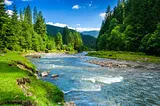 Mountain stream and trees