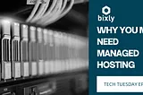 Managed Hosting: What You Need to Know