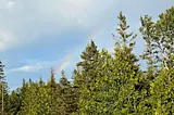 Rainbow over the pine trees on Drummond Island, Michigan