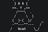 Path to OSCP: Netcat — The Basics