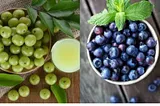 Blueberry vs Amla: Which Fruit is Best for Skin?