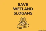 30 Catchy Save Wetland Slogans