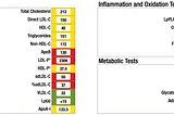 Decoding Human Potential: The Convergence of AI, Wearables, and Metabolic Intelligence