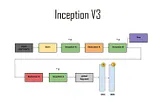 Inception V3 CNN Architecture Explained .