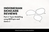 Diving into Indonesian Skincare Reviews — Part 2: Topic Modelling using BERTopic and Llama 2