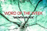 Newsmart Word of the Week: Growth Hacker