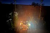 Garden Work and Serendipity
