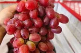 _The Luscious Grapes: Journey into its Sourish Past, Nutritional Values and Cultural Heritage_