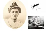 Clara Maass: The Nurse Who Dared to Face the Sting of Death