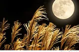 Harvest Moon