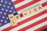 H1B Visa Rejected — What are my options?