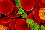 Donut-shaped RBCs surrounded by other blood molecules