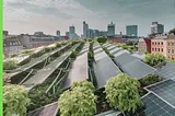 How Sponge Cities With Blue-Green Roofs Could Revolutionize Urban Rainwater Management