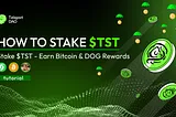 HOW TO STAKE TST — TUTORIAL