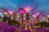 Gardens by the Bay: A Green Jewel in the Heart of Singapore