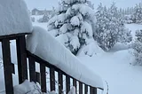 Life goes on as the snow persistently falls. Image of snow out the authors window.