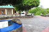 How to be Glamorous (yet cheap) in the Galapagos
