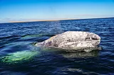 Baja Peninsula, Mexico