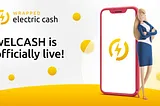 wELCASH is Finally Here. An Innovative Token to Connect Users to the World of DeFi