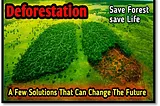 Strategies to Combat Deforestation and Save Our Planet for Future Generations