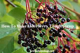 how to make elderberry cough syrup