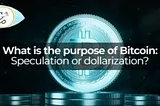 What do you think is the purpose of Bitcoin?