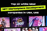 Top 15 White Label NFT Marketplace Development Companies USA