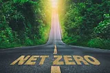 Getting to net-zero emissions: National actions must be the primary focus