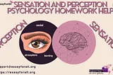 Sensation And Perception Psychology Homework Help: Essay For All