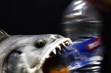 Making Plastic Disappear with Piranha Solution