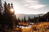 5 Top Trails For Fall Colors in Rocky Mountain National Park