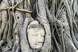 Ancient face being grown over by a strangler fig plant