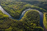 reiver from the air as it meanders through thick forest