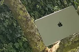 Apple mac in a tree