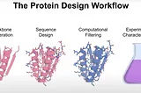 Protein Structure Prediction : A Primer (Part 8)